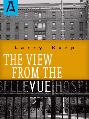 cover image of The View from the Vue